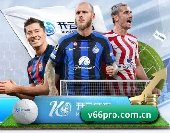 V66体育 APP